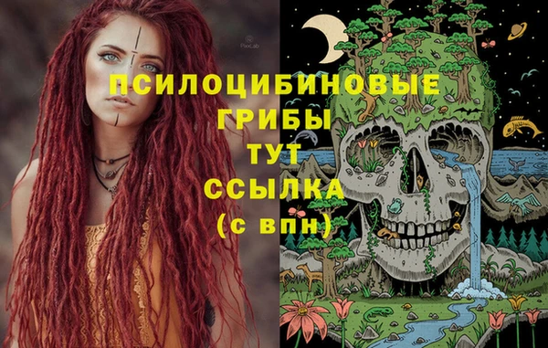 ешки Алексеевка