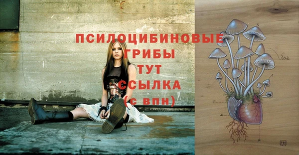 ешки Алексеевка