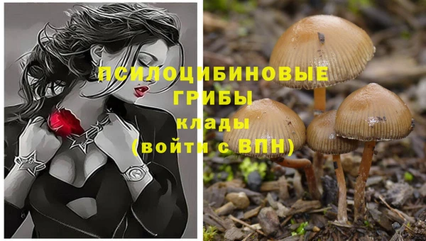 ешки Алексеевка