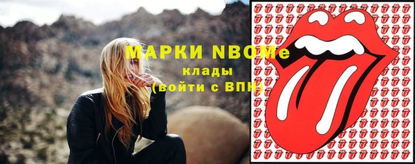ECSTASY Алзамай