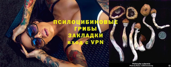 прущий лед Алексин