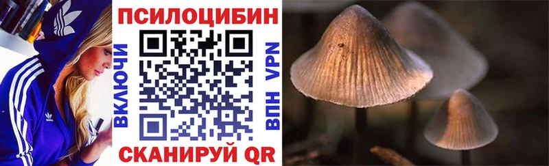 как найти закладки  mega сайт  Псилоцибиновые грибы Psilocybine cubensis  Нижний Тагил 
