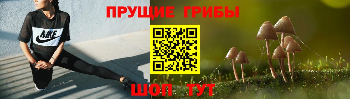Псилоцибиновые грибы мухоморы  Галлюциногенные грибы ЛСД  Нижний Тагил  Вход с VPN 